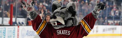 Image result for Chicago Wolves Logo