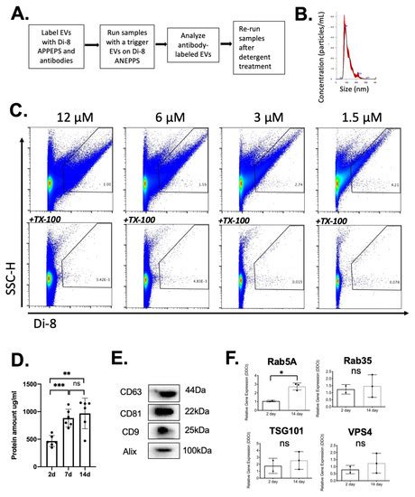 Genetic Background and Kinetics Define Wound Bed Extracellular Vesicles ...