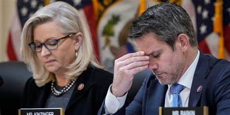 GOP Rep. Adam Kinzinger said the RNC's vote to censure him and fellow ...