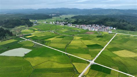 国开行去年放贷76亿元支持农田建设领域_农业_贵州_发放贷款