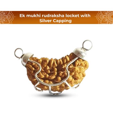 1 mukhi rudraksha locket – Shiv Kripa Rudraksha