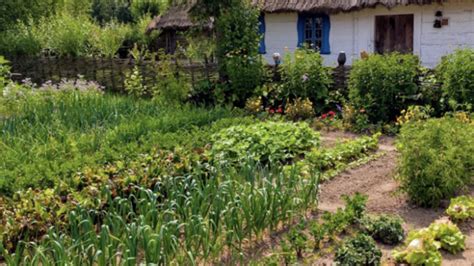 Kad cvjetaju filaci, sejemo mrkvu, kada cvjeta narcis, vrijeme je za ...