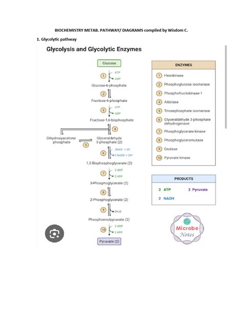 Biochemistry 的图像结果