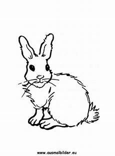 hase ausmalbilder gratis ausmalbild hase zum ausdrucken hase ausmalbilder gratis ausmalbild hase zum ausdrucken