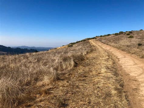 Russian Ridge Open Space Preserve – Roadside Secrets