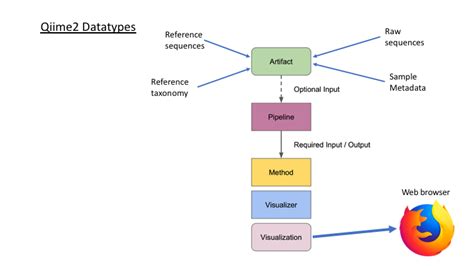 Image result for Qiime2 Importing Data Tutorials