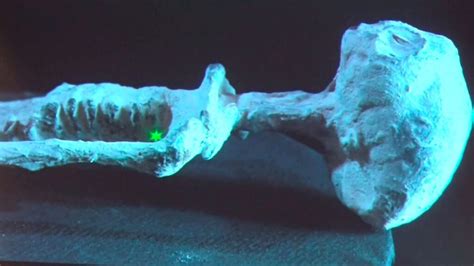 Alien Fossils 的图像结果