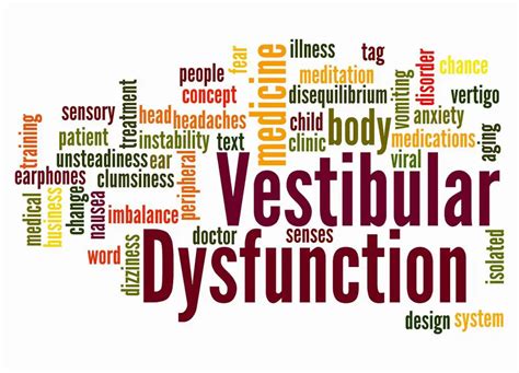 Image result for Vestibular Function