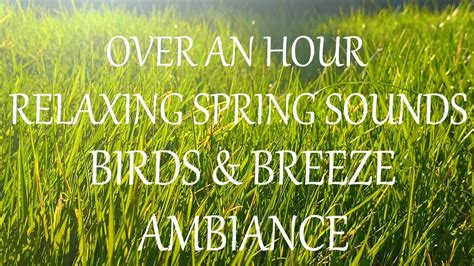 Image result for Sound of Spring