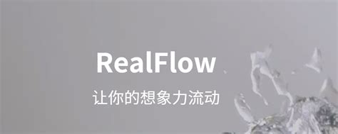 Image result for RealFlow Ocean