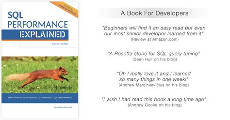 Image result for SQL Performance Explained Book