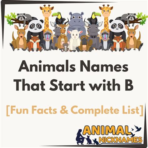 Animals Names That Start with X [Fun Facts & Complete List] – Animal ...