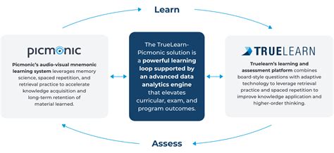 Image result for True Learning