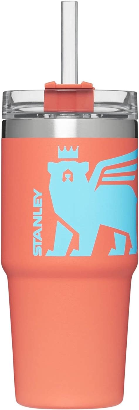 Buy Stanley Adventure Quencher Travel Tumbler for Kids (8 and Above ...