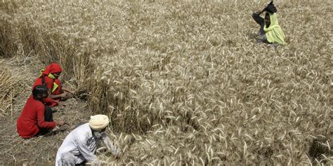 Climate-Smart Agriculture Needs Better Planning For Weather Aberrations ...