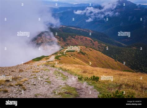 Image result for Timber Line