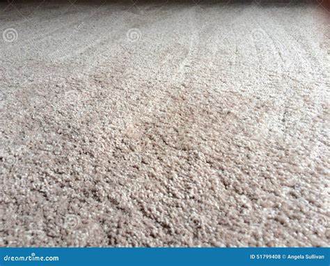 Clean plush carpet floor stock photo. Image of clean - 51799408