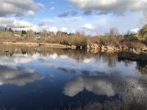 Juanita Bay Park in Kirkland: this little park never disappoints! : r ...