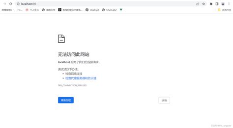 Access Localhost 的图像结果