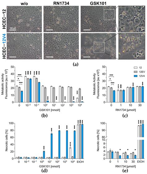 TRPV4 Stimulation Level Regulates Ca2+-Dependent Control of Human ...