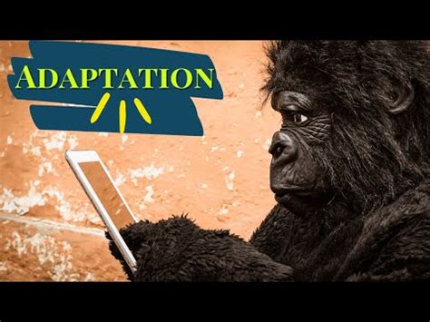 What are structural adaptations? Video Lecture - Biology for JAMB