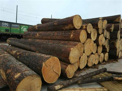在甲流高发期，怎么做好木材生意？ - 知乎