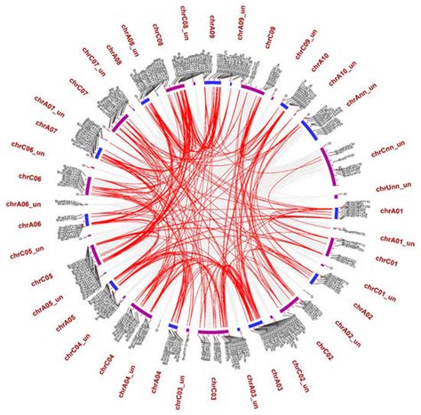 Genome-Wide Identification and Expression Analysis of SNARE Genes in ...