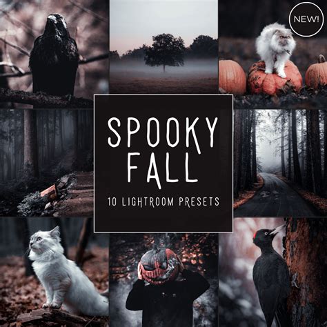 Spooky Fall LIMITED Lightroom Presets Pack | Lightroom, Lightroom ...