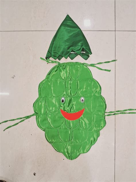 Grapes (Purple) Costume Cutout and Cap – Sarvda