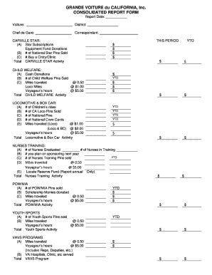 CA Consolidated Report Form 2013 - Fill and Sign Printable Template Online