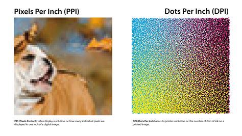 Image result for How Does DPI Work