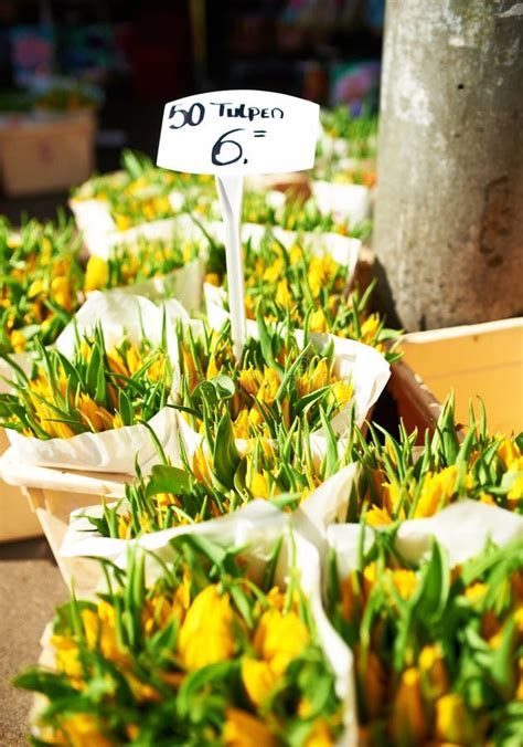 Amsterdam flower market stock photo. Image of market - 32188718