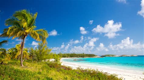 Cuisine aux Bahamas : Top 10 des spécialités | Tourlane