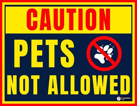 No Pets Allowed Hotels: What You Need To Know - Hotel F & B