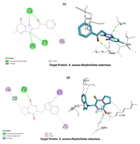 Characterization of Streptomyces Species and Validation of ...