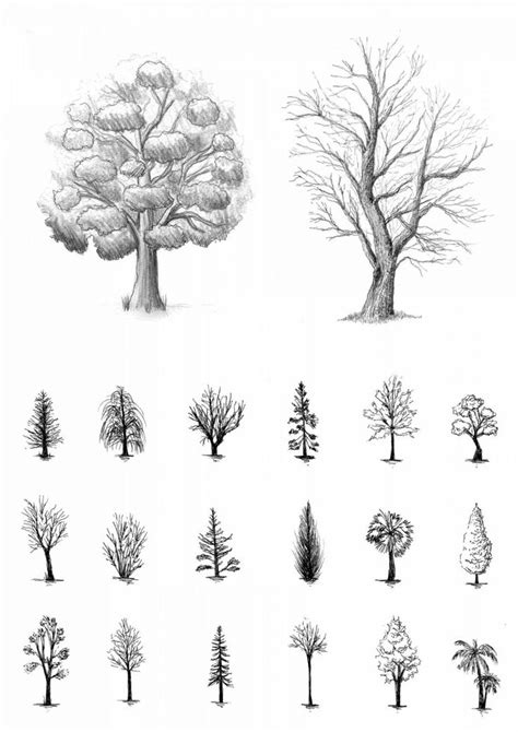 Image result for How to Draw Trees