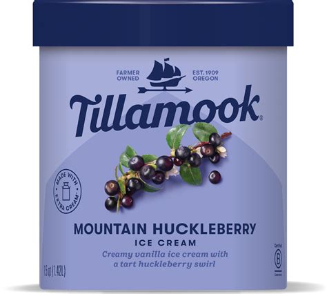 Huckleberry Ice Cream Recipe | Bryont Blog