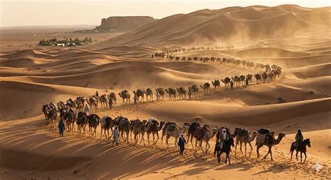 The Four Imams of Sunni Islam: Classical Jurisprudence on Apostasy ...
