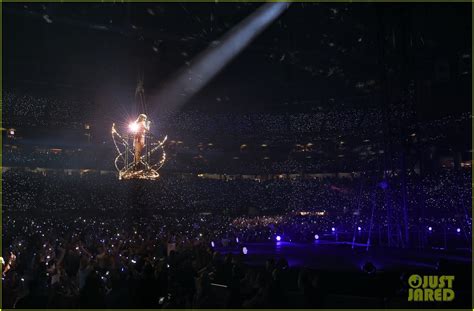 Image result for Taylor Swift Reputation Tour Shadow