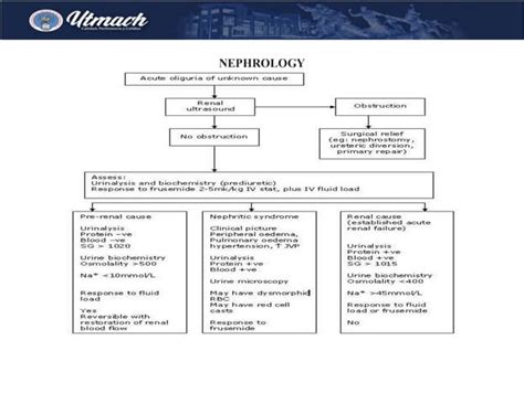 Image result for Nephrohydrosis Algorithm