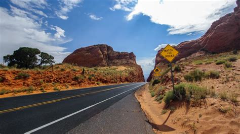 Unraveling the Tapestry of Tribal Transportation: Journeys of Heritage and Innovation