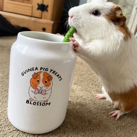 Personalised Guinea Pig Treat Jar And Treat Bag By Syd&Co