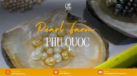 Pearl Farm Phu Quoc Guide - How To Buy An Authentic Pearl In Phu Quoc ...
