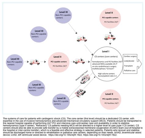 Image result for Cardiogenic Shock Algorithm