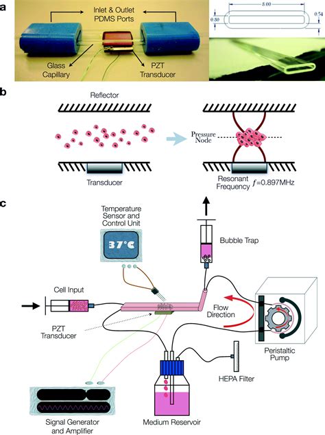 Image result for Tissue Engineering Bioreactor