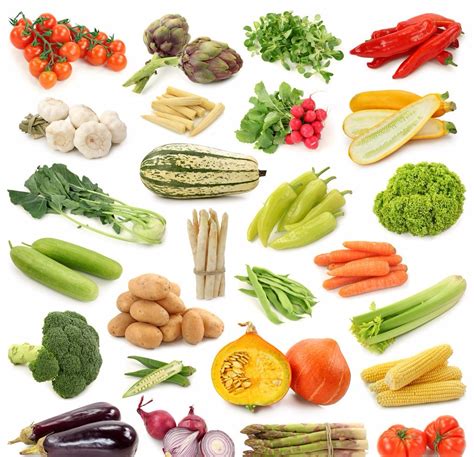 s蔬菜的分类包括哪些_百度知道