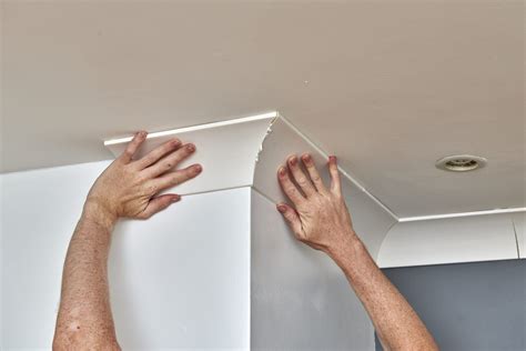 How To Cut Coving Around A Bay Window at Bernadette Williams blog