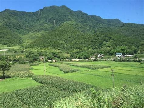 Mianyang Tourism (2024): All You Need to Know Before You Go