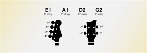 Bass Tuning Tutorial 的图像结果