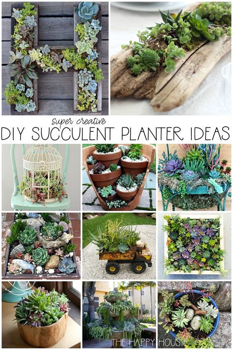 DIY Succulent Planter Ideas | Succulent garden diy, Succulent garden ...